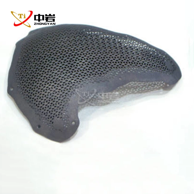 titanium plate in skull