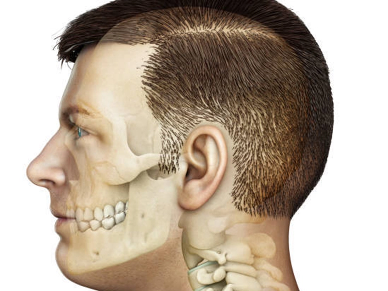 Maxillofacial and craniofacial reconstructio